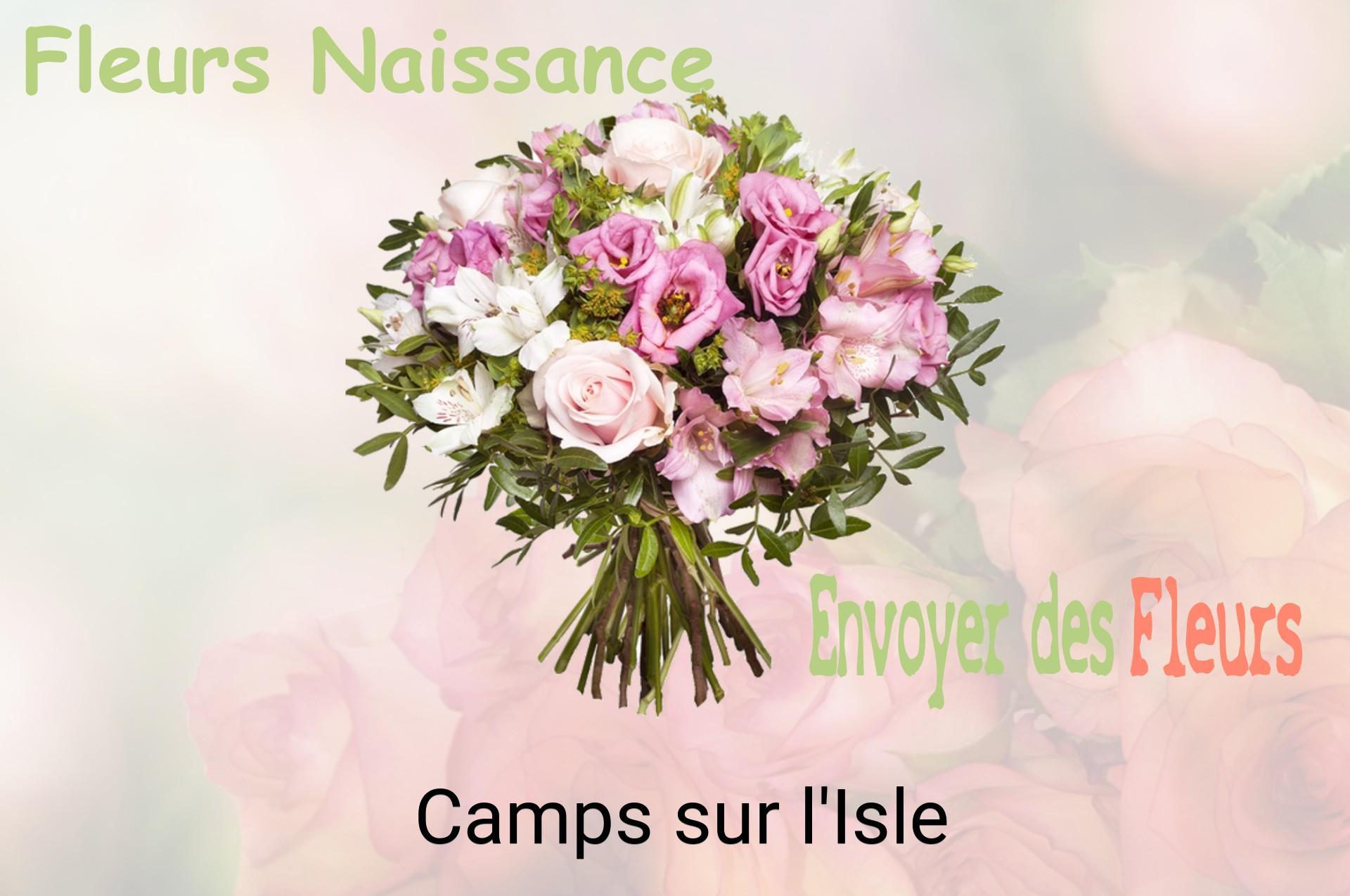 Bouquet de fleurs de naissance livré à Camps-sur-l'Isle
